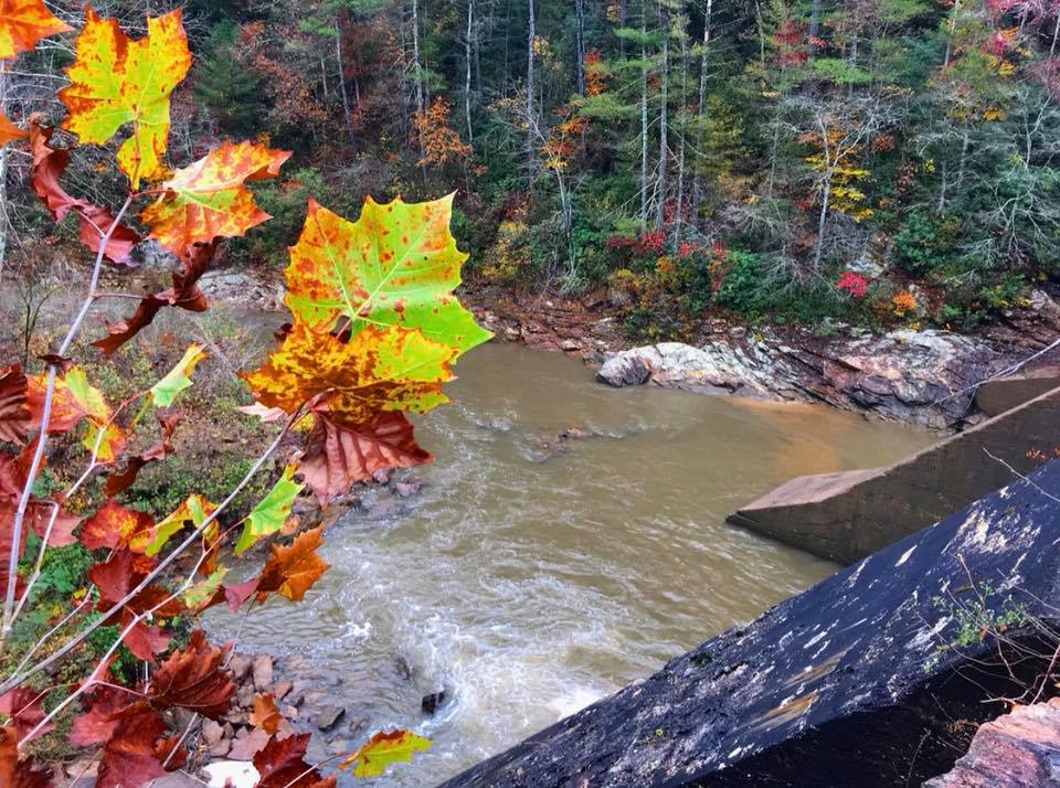 Tours Henry River Mill Village
